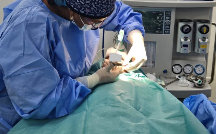 Day Surgery