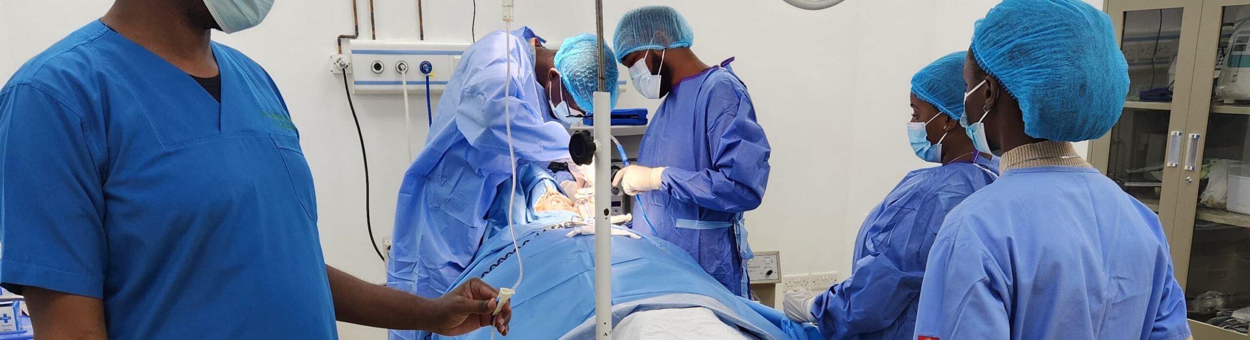 Day Surgery Services